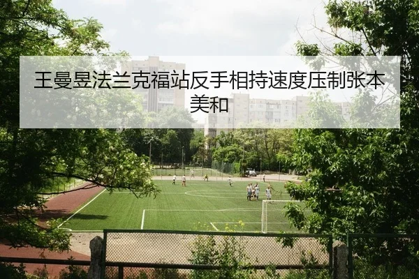 王曼昱法兰克福站反手相持速度压制张本美和